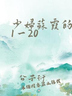 少妇苏霞的沉沦1一20