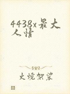 4438x最大人情