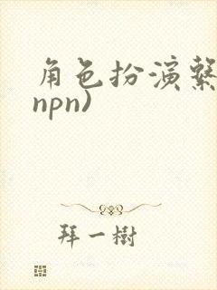 角色扮演系统(npn)