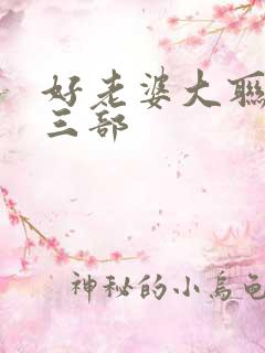 好老婆大联盟第三部