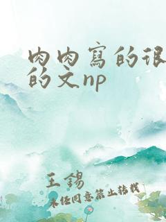 肉肉写的很细致的文np