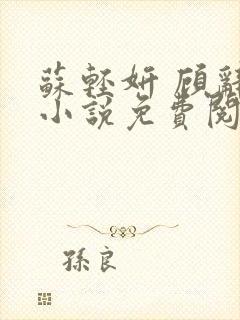 苏轻妍 顾辞笙小说免费阅读