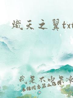 炽天之翼txt