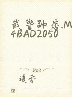 武警帅痞.MP4BAD2050