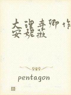 大理寺卿作者:安妮薇