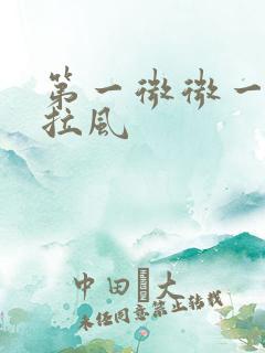 第一微微一笑很拉风