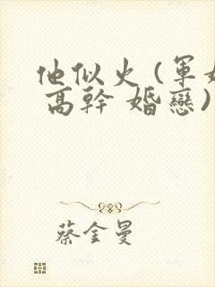 他似火 (军婚 高干 婚恋)