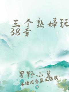 三个熟妇玩双飞38章