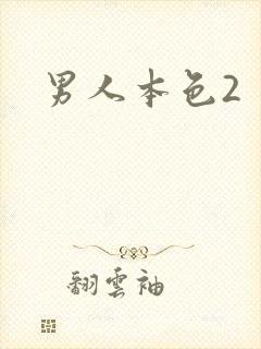 男人本色2