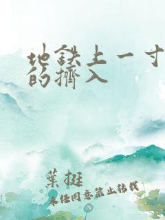 地铁上一寸一寸的挤入