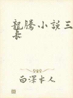 龙腾小说三宝局长