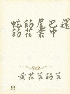 蛇的尾巴还在我的花丛中