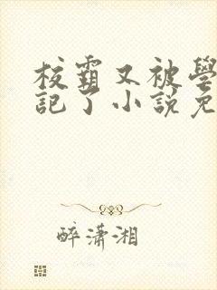 校霸又被学神标记了小说免费阅读