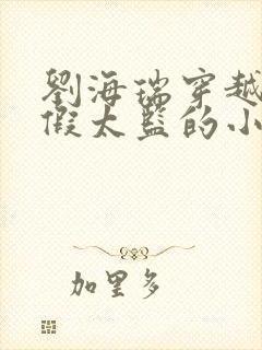 刘海瑞穿越后宫假太监的小说