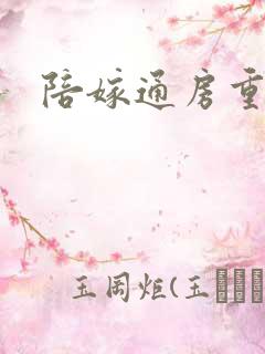 陪嫁通房重生记