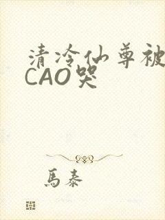 清冷仙尊被强制CAO哭