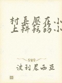 村长压在小娥身上耕耘的小说