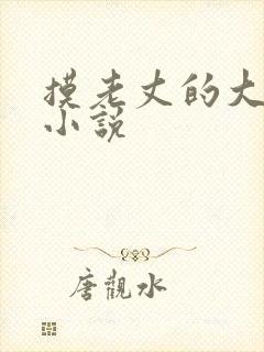 摸老丈的大牛子小说