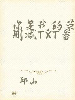 你是我的荣耀未删减TXT番外