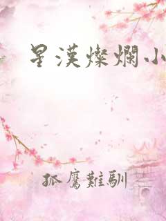 星汉灿烂小说