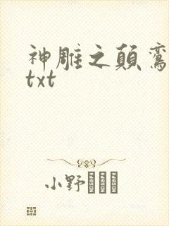 神雕之颠鸾倒凤txt