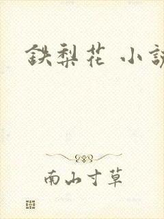 铁梨花 小说