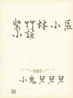 紫竹林小区快递小说