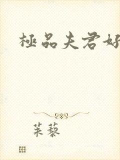 极品夫君好又多