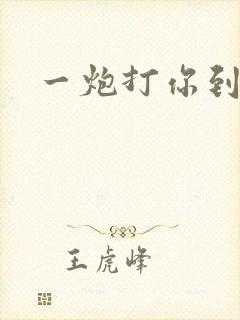 一炮打你到天亮