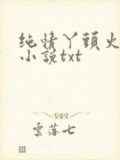 纯情丫头火辣辣小说txt
