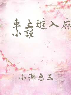 车上进入麻麻的小说