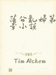 荡公乱妇第51章小说