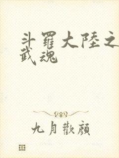 斗罗大陆之三生武魂