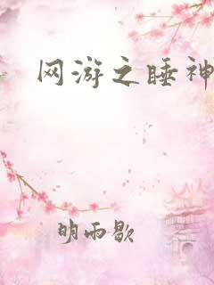 网游之睡神传说