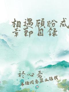 相遇顾盼成欢全章节目录