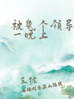 被几个领导玩弄一晚上