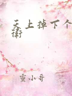 天上掉下个影卫卫