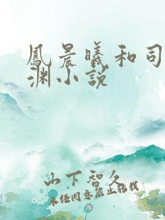 凤晨曦和司鸿颜渊小说