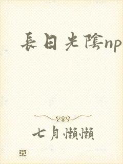 长日光阴np