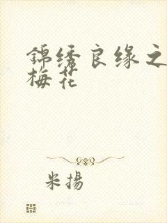 锦绣良缘之驿寄梅花