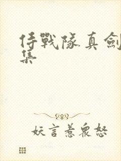侍战队真剑者全集