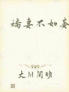 娇妻不如妾