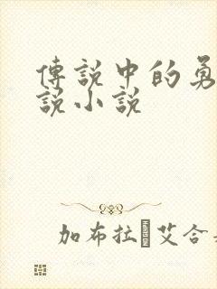 传说中的勇者传说小说