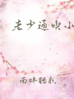 老少通吃小说