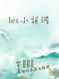 les小说网