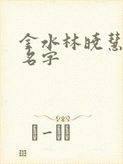 金水林晓慧小说名字