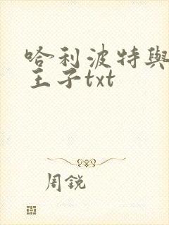 哈利波特与混血王子txt