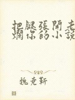 把腿张开老子臊烂你的小说