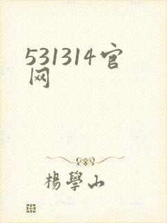 531314官网