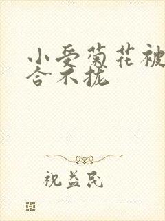 小受菊花被双龙合不拢